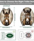Elongated Toilet Seat Replacement, Resin Donkey Pattern for Bathroom dimensions for proper fitting and installation guide.