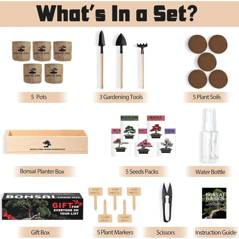 Indoor Bonsai Garden Starter Kit With Five Seed Varieties Acacia Wisteria Red Maple Black Pine Judas Tree Easy Grow Kit contents