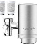 Sink Faucet Water Filter Purifier With 304 Stainless Steel Housing, shown with two replacement filters, for kitchen use.