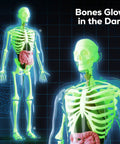 Glow In The Dark Skeleton Model Kit For Hands On Interactive Anatomy Practice 40 Piece Science Toy For Kids Ages 8 Plus.