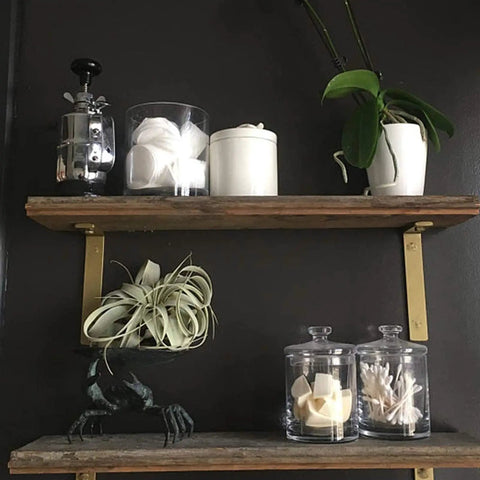 Heavy Duty 12 Inch L Shelf Brackets Set Black Metal Wall Mount Brackets With 5mm Thick Steel Includes Screws And Anchors For Sturdy Shelving In Home Garage Or Office supporting wooden shelves with decor items.