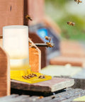 8 Pack Bee Water Feeders For Beehives in use with bees on yellow pad at outdoor garden station.