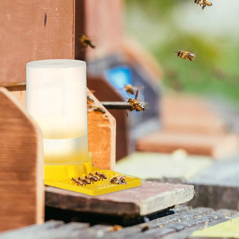 8 Pack Bee Water Feeders For Beehives in use with bees on yellow pad at outdoor garden station.