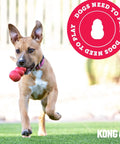 Extreme Goodie Bone Built Tough For Power Chewers Durable Natural Rubber Black For Large Dogs Great For Chew Sessions And Mental Stimulation That Lasts Longer Than Ordinary Toys. dog with red bone toy