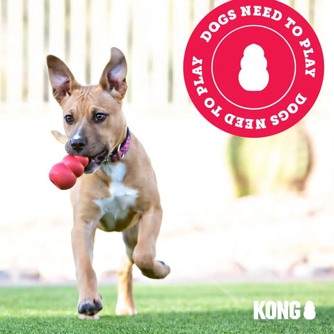 Extreme Goodie Bone Built Tough For Power Chewers Durable Natural Rubber Black For Large Dogs Great For Chew Sessions And Mental Stimulation That Lasts Longer Than Ordinary Toys. dog with red bone toy