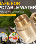 Brass one-way check valve with 1-1/4 in NPT inlet to 1-1/4 in FNPT outlet for water systems.