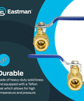Eastman 1/2 in compression heavy-duty full-port brass ball valve plumbing fittings (2) with blue handles