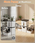 Top Shelf Automatic Cat Feeder With Dual Bowls And HD Camera Setup Built For Two Cats, two cats eating from bowls.