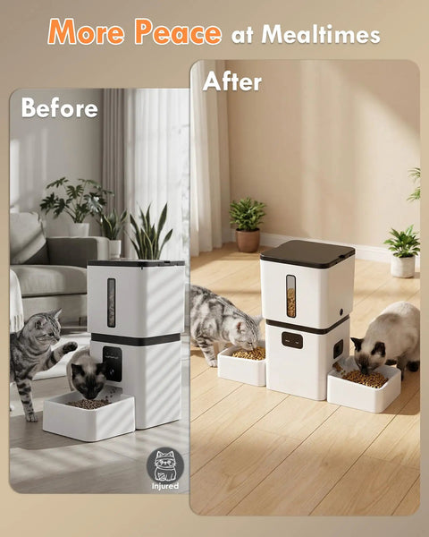 Top Shelf Automatic Cat Feeder With Dual Bowls And HD Camera Setup Built For Two Cats, two cats eating from bowls.
