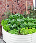 Two Pack Round Galvanized Raised Garden Bed Kit 3 By 3 By 1.5 Feet Open Bottom Outdoor Planter For Vegetables Herbs And Fruits Cream White Metal Raised Box filled with greens in a backyard setup.