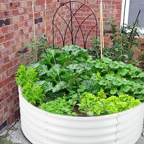 Two Pack Round Galvanized Raised Garden Bed Kit 3 By 3 By 1.5 Feet Open Bottom Outdoor Planter For Vegetables Herbs And Fruits Cream White Metal Raised Box filled with greens in a backyard setup.