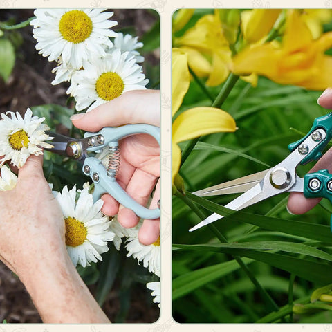 Herb Snipping Scissors For Gardeners, Lightweight Pruning Shears With Easy Lock cutting flowers, fine tipped carbon steel blades