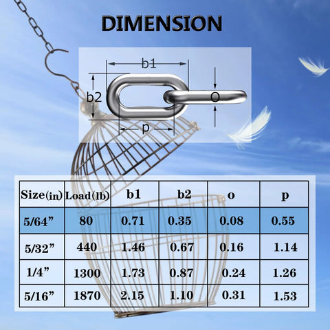 Stainless steel link chain with dimension diagram overlay (b1, b2, o, p) in front view.