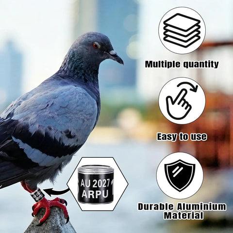 Pigeon with 100 Pieces Black Aluminum Pigeon Leg Rings For Bird Identification And Training, 2027 ARPU Serial Number Bands, Easy Fit 8mm Inner Diameter