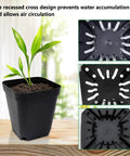 Square Seed Starter Pots 3 Inch 120 Pack Black Plastic Nursery Pots With Drainage shown with plant and drainage detail