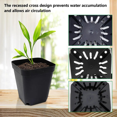 Square Seed Starter Pots 3 Inch 120 Pack Black Plastic Nursery Pots With Drainage shown with plant and drainage detail