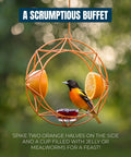 Oriole Bird Feeder Outdoor Baltimore Oriole Jelly And Orange Metal Feeder With Sun Design And Bright UV-Resistant Powder Coated Steel Open Top Hook Easy To Hang Anywhere