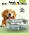 Golden retriever beside PWF002B Compatible Replacement Pump For Dog Water Fountain With Light showing water circulation and stainless steel design.