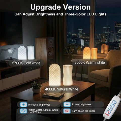 Three Color LED Lamp Kit 3Pcs For 3D Printers, USB Powered 5V 3000K Warm Light, easy install setup display in a living room.