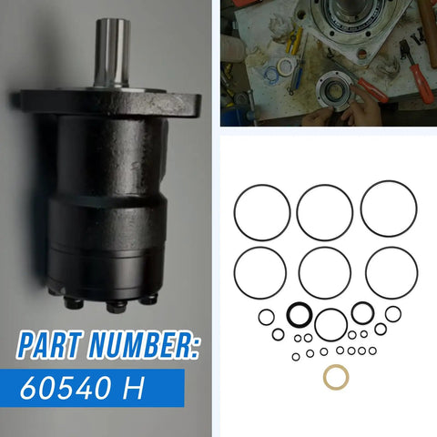Seal Kit For Char-Lynn 60540 60540-000 101 H Series Buna Seals 008 009 Design with hydraulic motor and o-rings on table