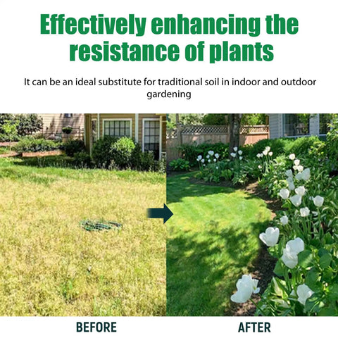Before and after using Planting Brick Compressed Fiber Reusable Mulch For Transplanting And Hydroponics in garden pathway.