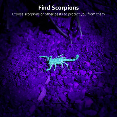 51 LED UV Light Handheld Blacklight 395nm Ultraviolet Flashlight Detects scorpion spots on ground