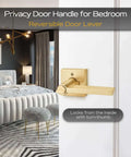 2 Pack Heavy Duty Keyless Privacy Door Handles Satin Brass Finish for Interior Bedroom and Bathroom Doors with Thumb Turn Lock