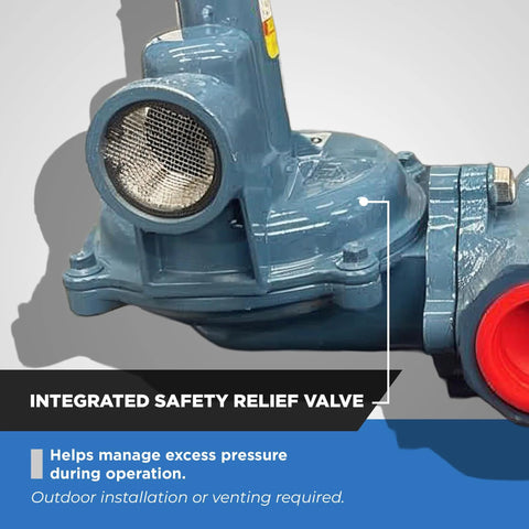 NMT NGR02-50 natural gas regulator with integrated relief valve, blue metal body, 1/2 in NPT, blue outlet