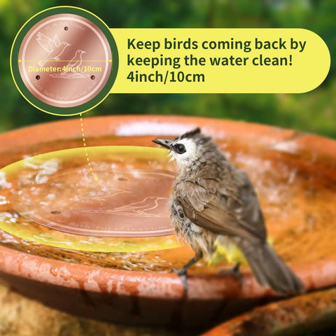 Copper Disk Bird Bath Cleaner With 99.9% Pure Copper, 4-inch diameter, shown in outdoor bird bath with bird on edge