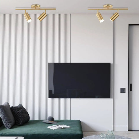 Mid Century Modern 2 Light LED Track Lighting Kit With Dual Way Operation Gold Flush Mount Ceiling Spotlight In Brushed Brass in living room