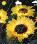 Upgraded 4 Flower Solar Sunflowers With Fairy Light Petals For Yard Decor under rainy conditions, showing waterproof feature.