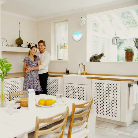 Silent Wall Sconce Fly Light Trap Kills Mosquitoes Moths And Gnats With Uv Glue Boards Quiet Indoor Pest Control mounted in elegant kitchen.
