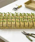 Tray with green seedlings, gardening tools on table, indoors