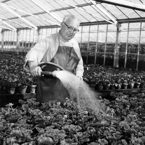 Gardener using Water Breaker Nozzle With 400 Tiny Holes For Greenhouse And Nurseryman, Fast Full Flow Watering, gentle plant shower