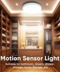 Flush Mount RGB Ceiling Light 12 Inch 24W with Remote in a wooden walk-in wardrobe setting.