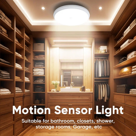 Flush Mount RGB Ceiling Light 12 Inch 24W with Remote in a wooden walk-in wardrobe setting.