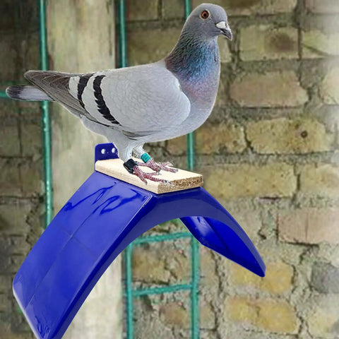 Racing pigeon atop Eight-Piece Pigeon Perches For Racing Pigeons And Birds, Lightweight Plastic Dove Rest Stand, blue.