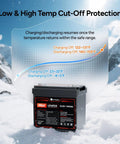 Compact 12V 100Ah LiFePO4 Battery That Fits In Tight Spots with low and high temp cut-off protection