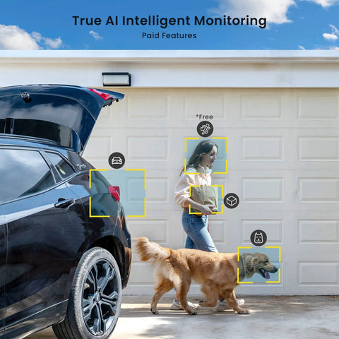 Person with dog under surveillance by Solar Powered Wireless Outdoor Security Camera System With 360 Degree PTZ, AI motion detection
