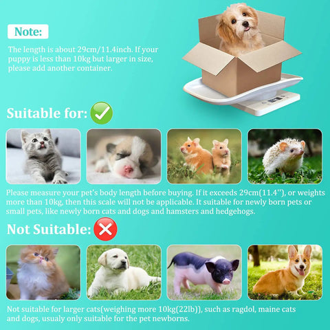 Portable Mini Pet Scale With Tray 22 Lb Capacity LCD Digital Weighing Scale with puppy and kittens displayed on scale