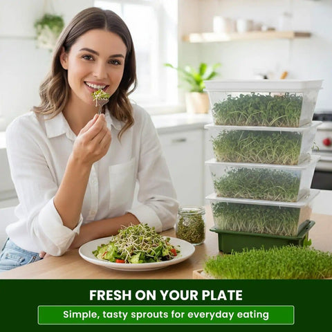 Woman eating sprouts with 4 Tier Sprouting Kit With Stackable Trays And Drain Spout For Home Sprouts on kitchen counter.