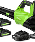 Cordless Leaf Blower With Dual 2.6Ah Batteries And Fast Charger Delivers 450 CFM And 150 MPH Two Speed Modes Lightweight Electric Yard Tool