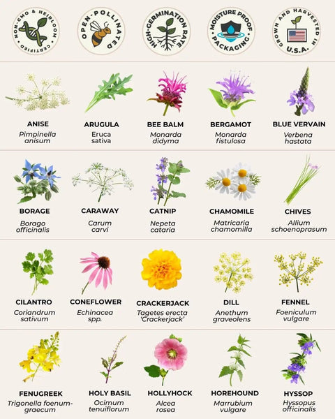 Diagram of 40 Medicinal And Tea Herb Seeds Variety Pack For Indoor And Outdoor Gardens Windowsill Friendly Heirloom USA Grown Non GMO Herbal Seeds