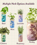 Assorted herb garden jars with Dope Mason Garden Jar Self Watering Hydroponics Kit With Organic Herb Seeds For Indoor Parsley Garden Jar Planter Seed Starter And Home Decor Gift Idea, featuring basil, mint, lavender, cilantro, rosemary and parsley in glass jars.