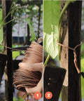 Soft Brown Plant Ties 130 Feet Garden Twists For Plants, Flexible TPR Rubber with Metal Core securing vine to stake