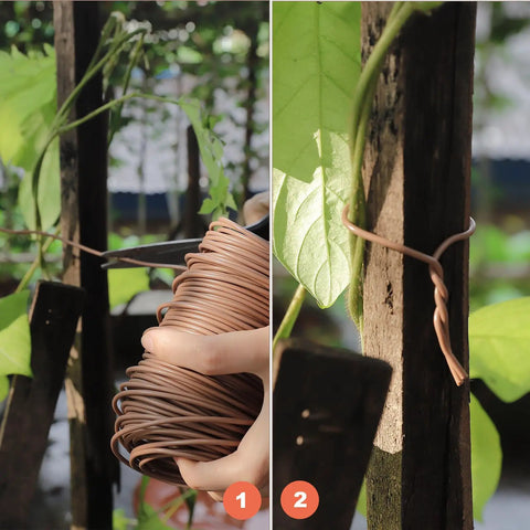 Soft Brown Plant Ties 130 Feet Garden Twists For Plants, Flexible TPR Rubber with Metal Core securing vine to stake