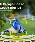 Smart Bird Feeder With Camera For Outdoors All Metal Durability Solar Powered Auto Identify And Record Video Instant Alerts Live Bird Watching, Blue Jay on feeder.