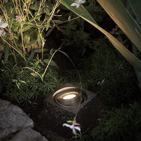 Top Notch MR11 GU4.0 BiPin LED Bulb 3W 12V AC DC Low Voltage Spotlight illuminating outdoor landscape in garden