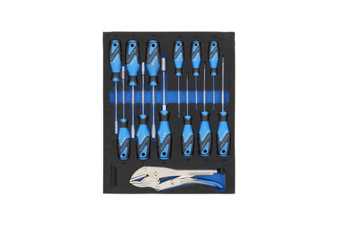 TS-308 Tool Assortment in Check Tool Modules 308-Piece Set With Metric Tools and Two-Color Foam Inserts, screwdrivers and pliers