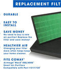 Two Pack True Green HEPA And Activated Carbon Filter Replacement For Airmega 400 Series Purifiers with easy install features.